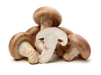 Coma setas shiitake para combatir catarros