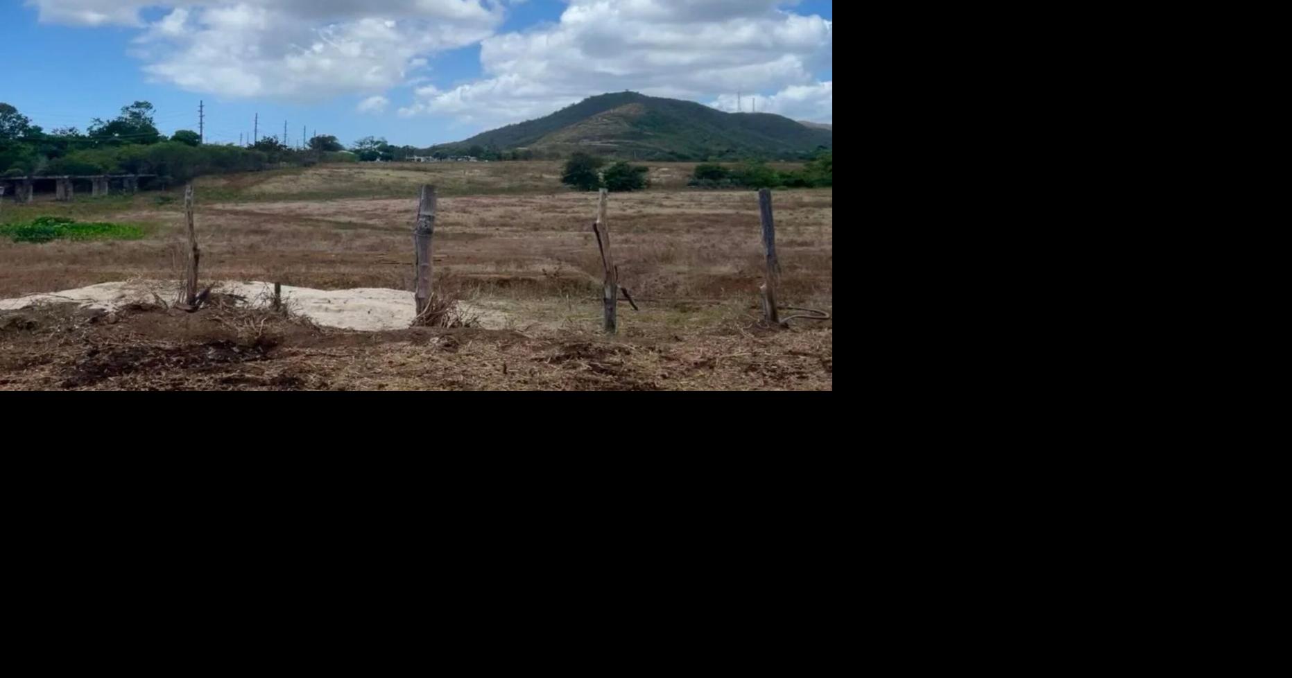 Federales radican cargos contra empresa procesadora de carne por contaminar cuerpos de agua de Naguabo