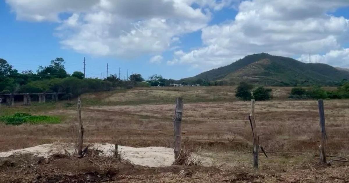 Federales radican cargos contra empresa procesadora de carne por contaminar cuerpos de agua de Naguabo