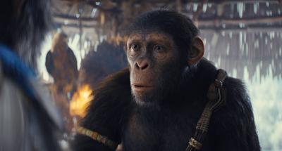 Estrenos de cine y 'streaming': Kingdom of the Planet of the Apes, Mother of the Bride y más