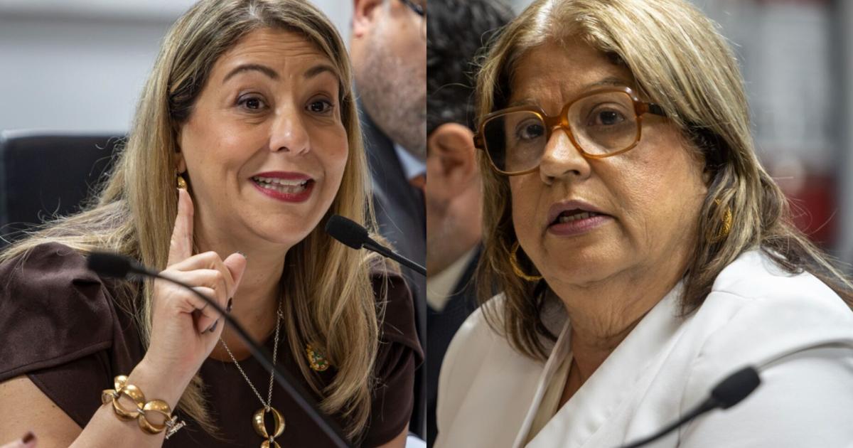 Roig y Medina se contradicen ante el Senado sobre contrato de $38M con Star Academy