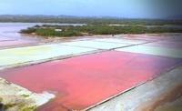 Las Salinas, Cabo Rojo