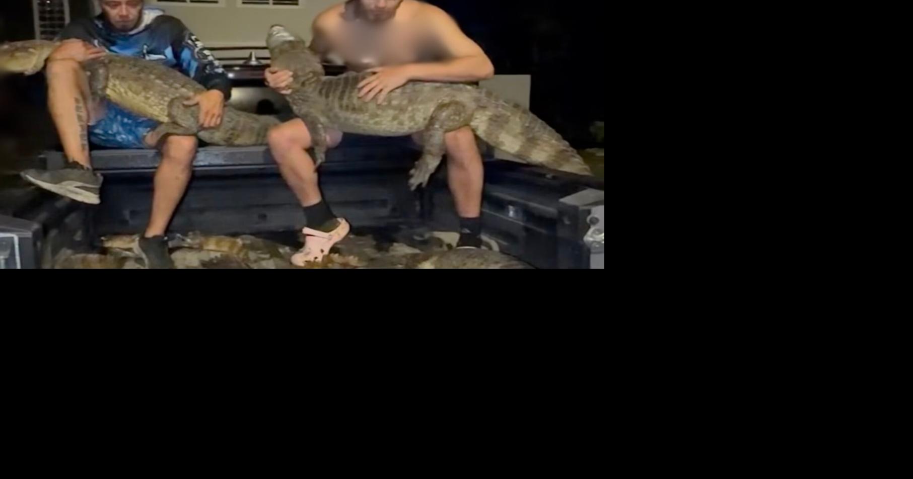 [POR SI TE LO PERDISTE]