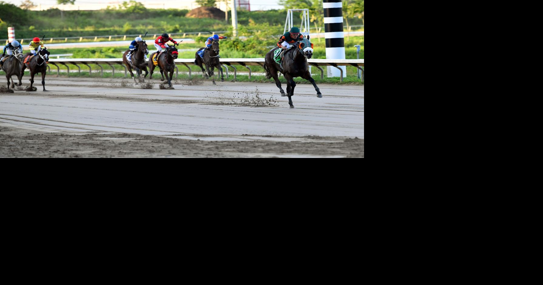 My Love Story domina el clásico Día De La Raza en el hipódromo Camarero