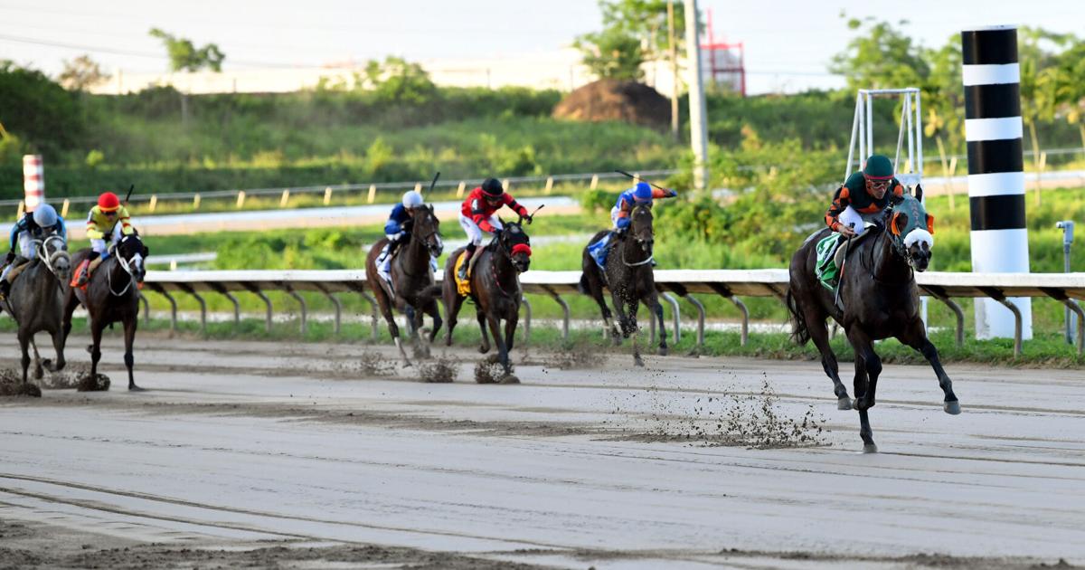 My Love Story domina el clásico Día De La Raza en el hipódromo Camarero