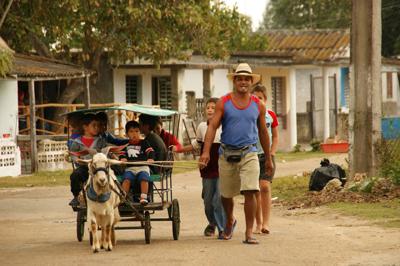 Santeros cubanos prevén enfermedades y complots