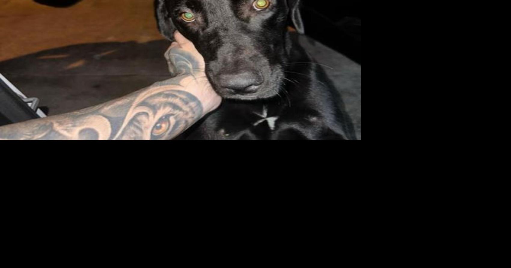 VÍDEOS: Luar la L se convierte en “tío” del perro Jhonny tras