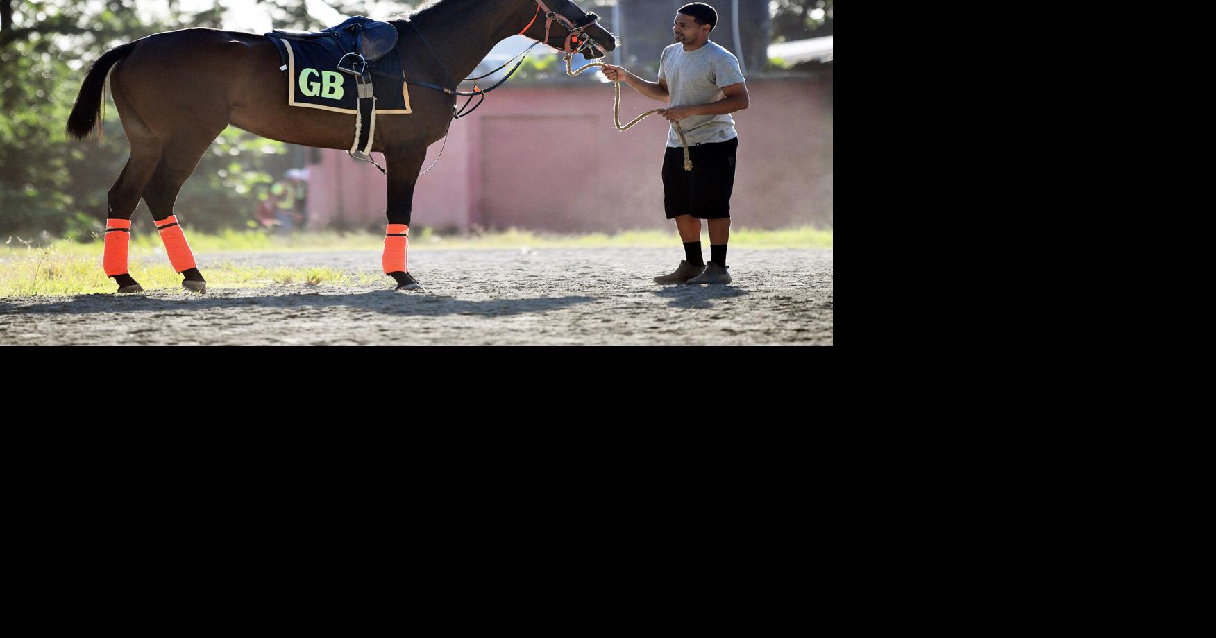 Caribbean Gal reaparece en el hipódromo Camarero tras un año de recuperación