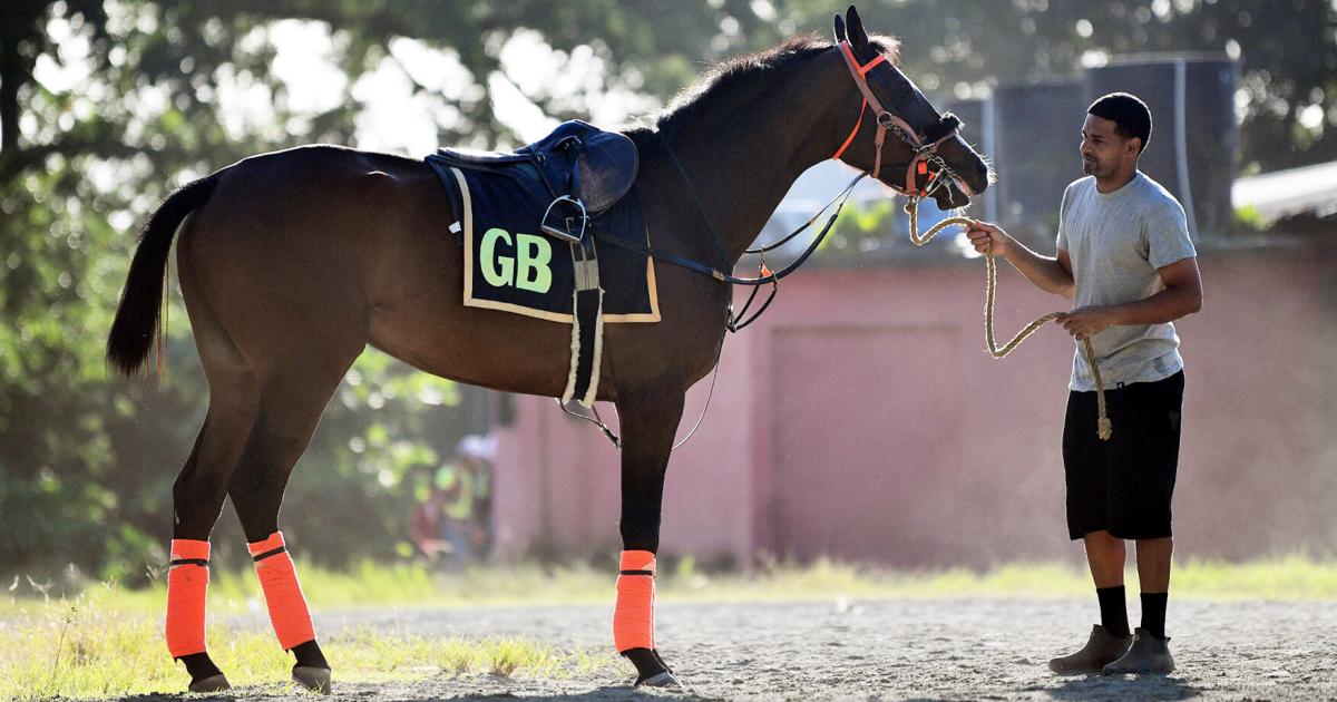 Caribbean Gal reaparece en el hipódromo Camarero tras un año de recuperación