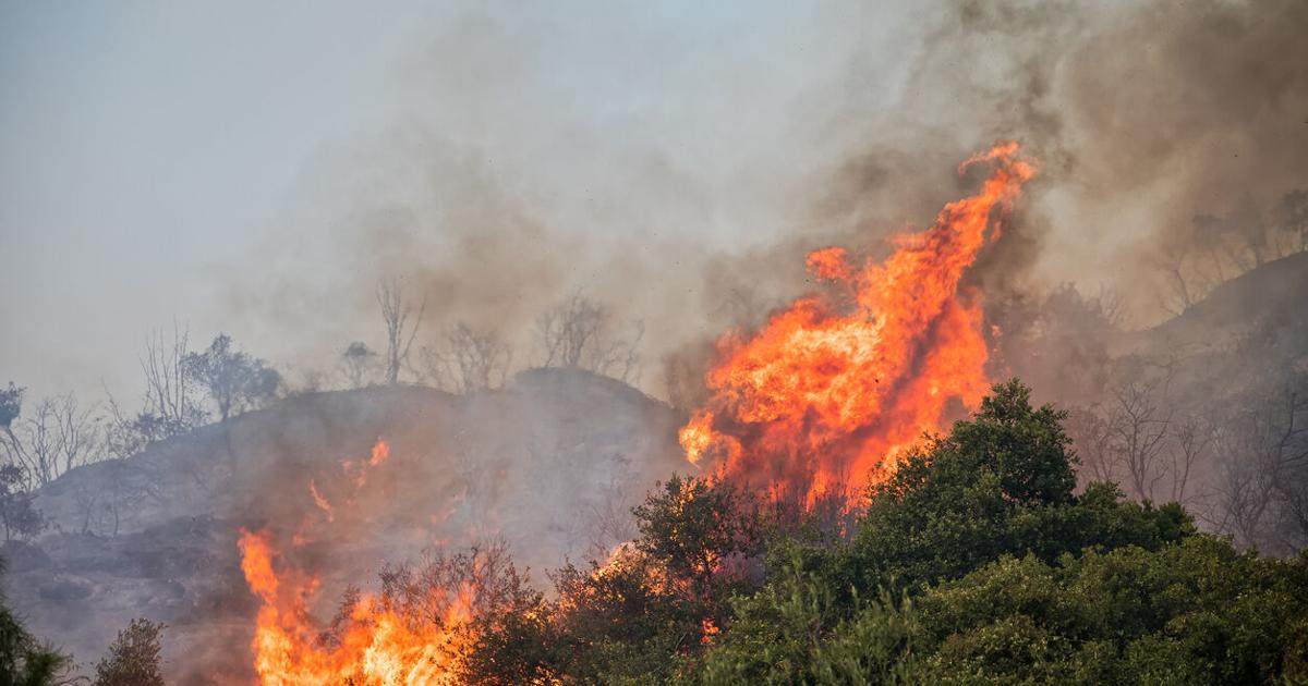 Puerto Rico supera en incendios forestales de 2026 el ritmo registrado en 2025