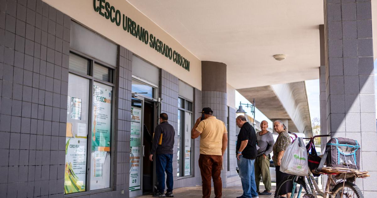 Cuestionan procesos del DTOP en otorgación de marbetes e inspecciones