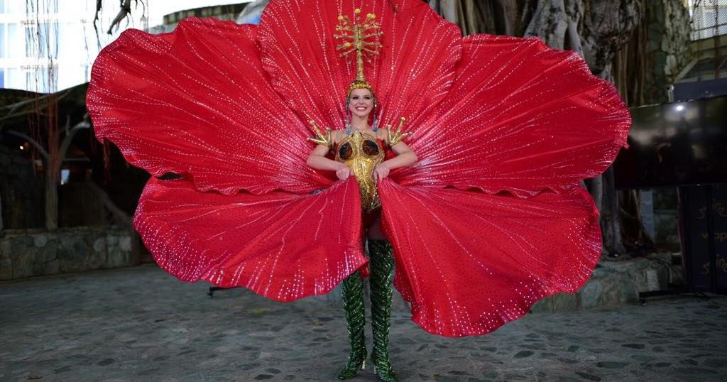 Flor de maga y el coquí en traje típico de Puerto Rico
