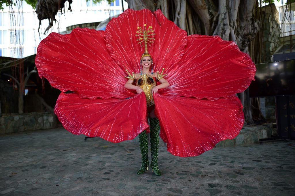 Flor de maga y el coquí en traje típico de Puerto Rico | Escenario