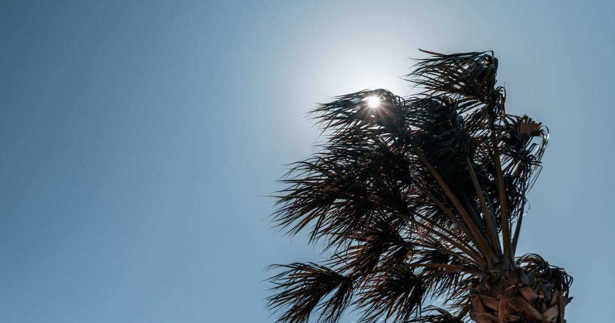 Polvo del Sahara y calor dominan el domingo; lluvias dispersas esperadas en la tarde