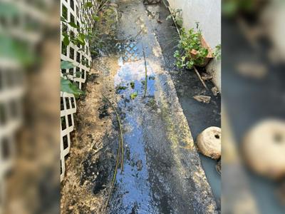 Aguas negras afectan a residentes de Toa Baja   