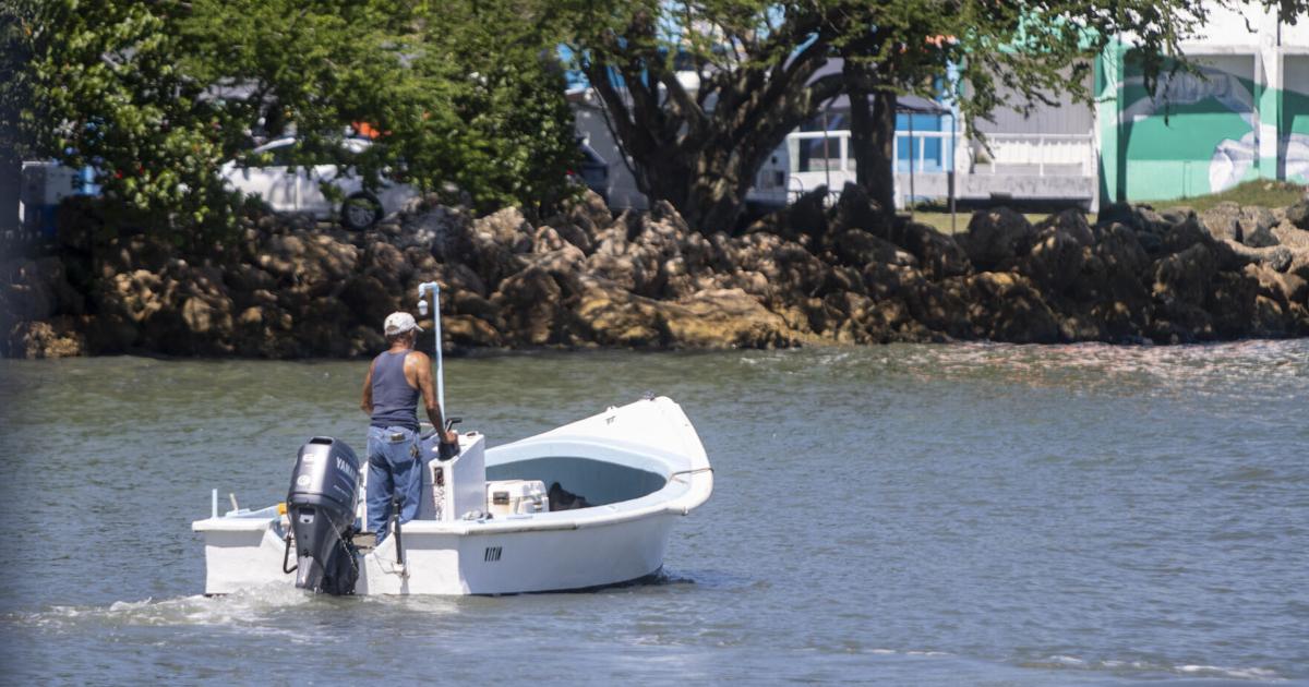 Senadora Soto Aguilú presenta paquete de seis proyectos para modernizar la pesca en PR