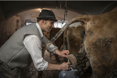FOTOS: Artista crea obras de arte con excremento de vacas