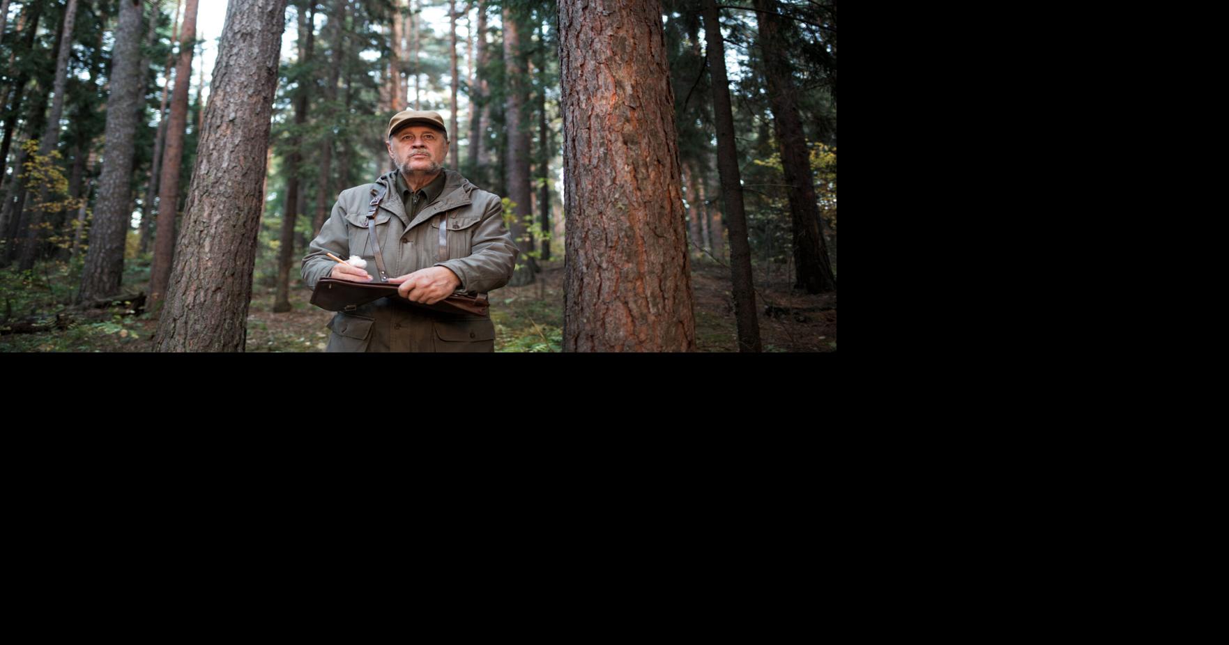 Cada 31 de julio se conmemora el Día Mundial de los Guardas Forestales