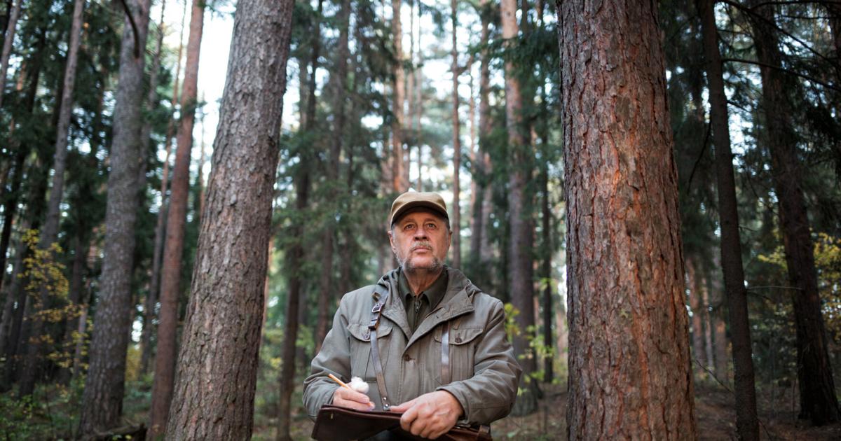 Cada 31 de julio se conmemora el Día Mundial de los Guardas Forestales