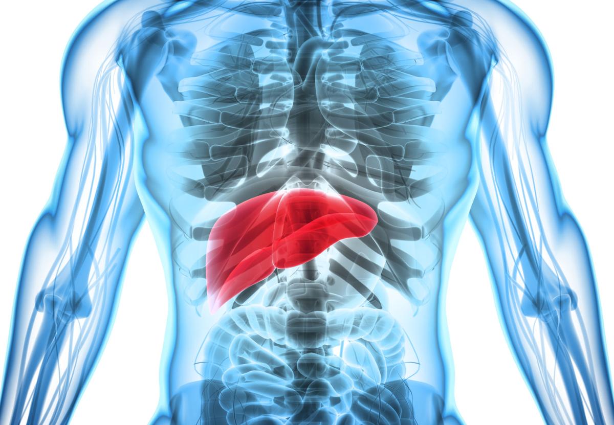 Conozca sobre hepatitis C | Salud | elvocero.com