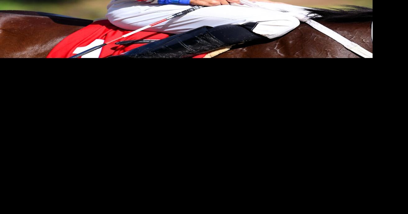 Xander Z. y King Robert se enfrentan por primera vez en el hipódromo Camarero
