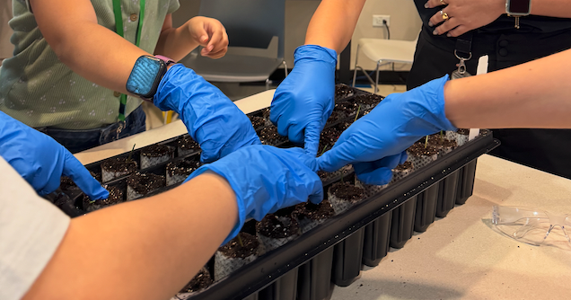 Programa educativo conecta a estudiantes con la biotecnología agrícola