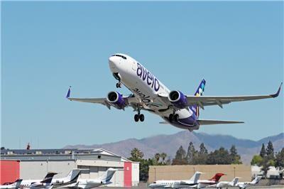 Desembarca nueva aerolínea de bajo costo en Orlando
