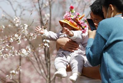 La natalidad en China cayó en el 2021