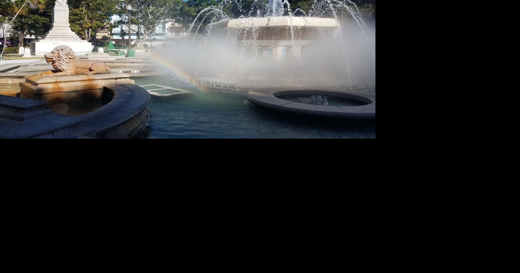 Ponce descarta envenenamiento en árboles de Plaza Las Delicias; lo atribuye a sequía