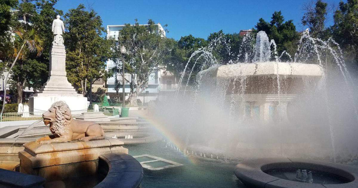 Ponce descarta envenenamiento en árboles de Plaza Las Delicias; lo atribuye a sequía