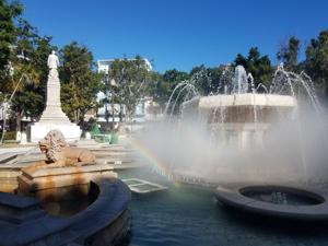 Imagen de la cobertura de: Ponce descarta envenenamiento de árboles en la Plaza Las Delicias