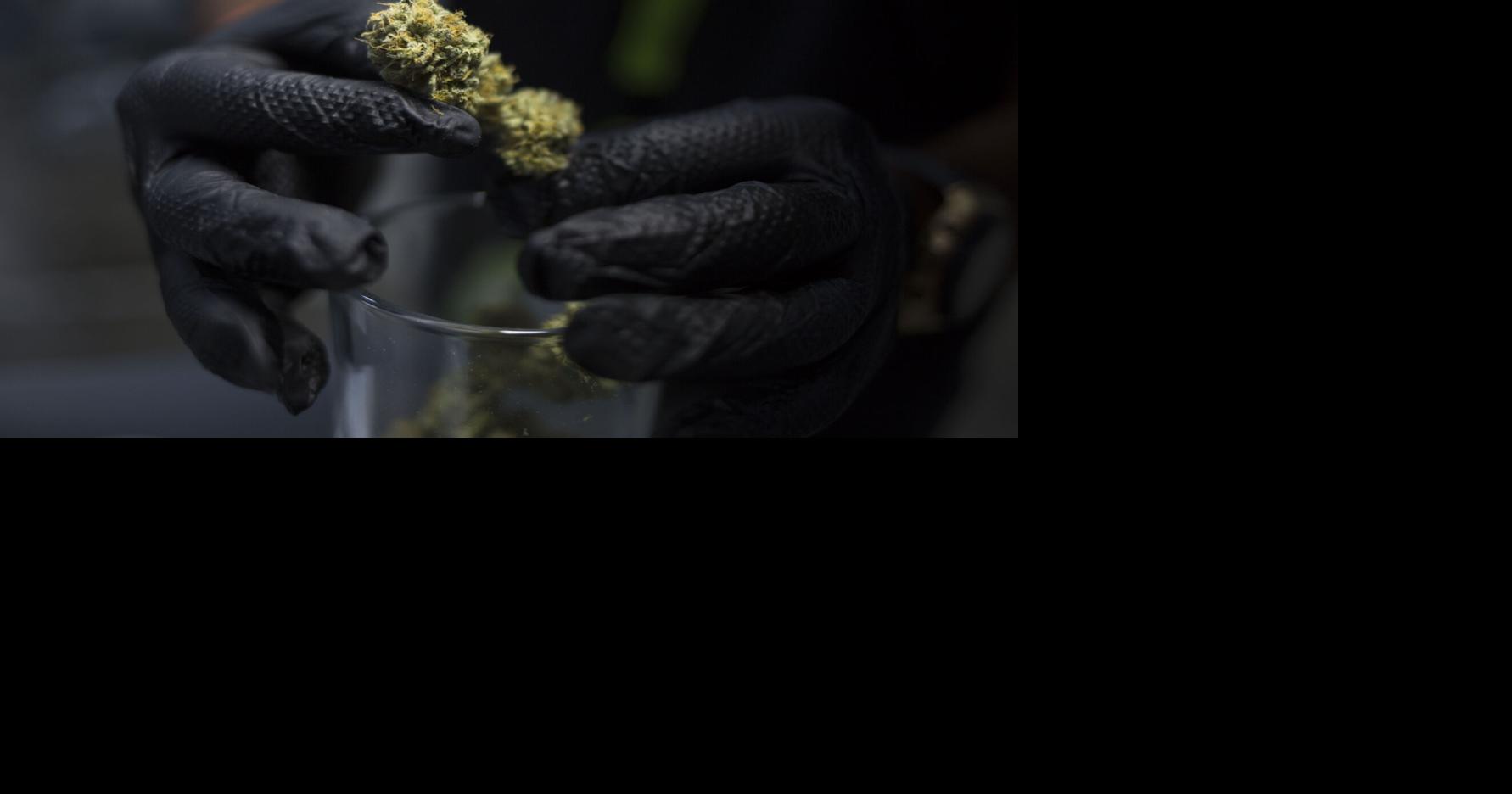 CODEPOLA apela ante Tribunal de Apelaciones por revocación de licencia de armas a paciente de cannabis
