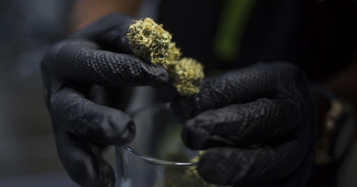 CODEPOLA apela ante Tribunal de Apelaciones por revocación de licencia de armas a paciente de cannabis