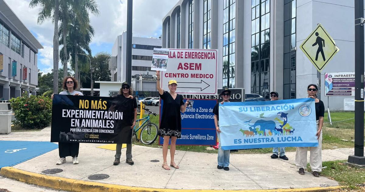 VIDEO: Protestan ante falta de transparencia sobre uso de animales en el Recinto de Ciencias Médicas