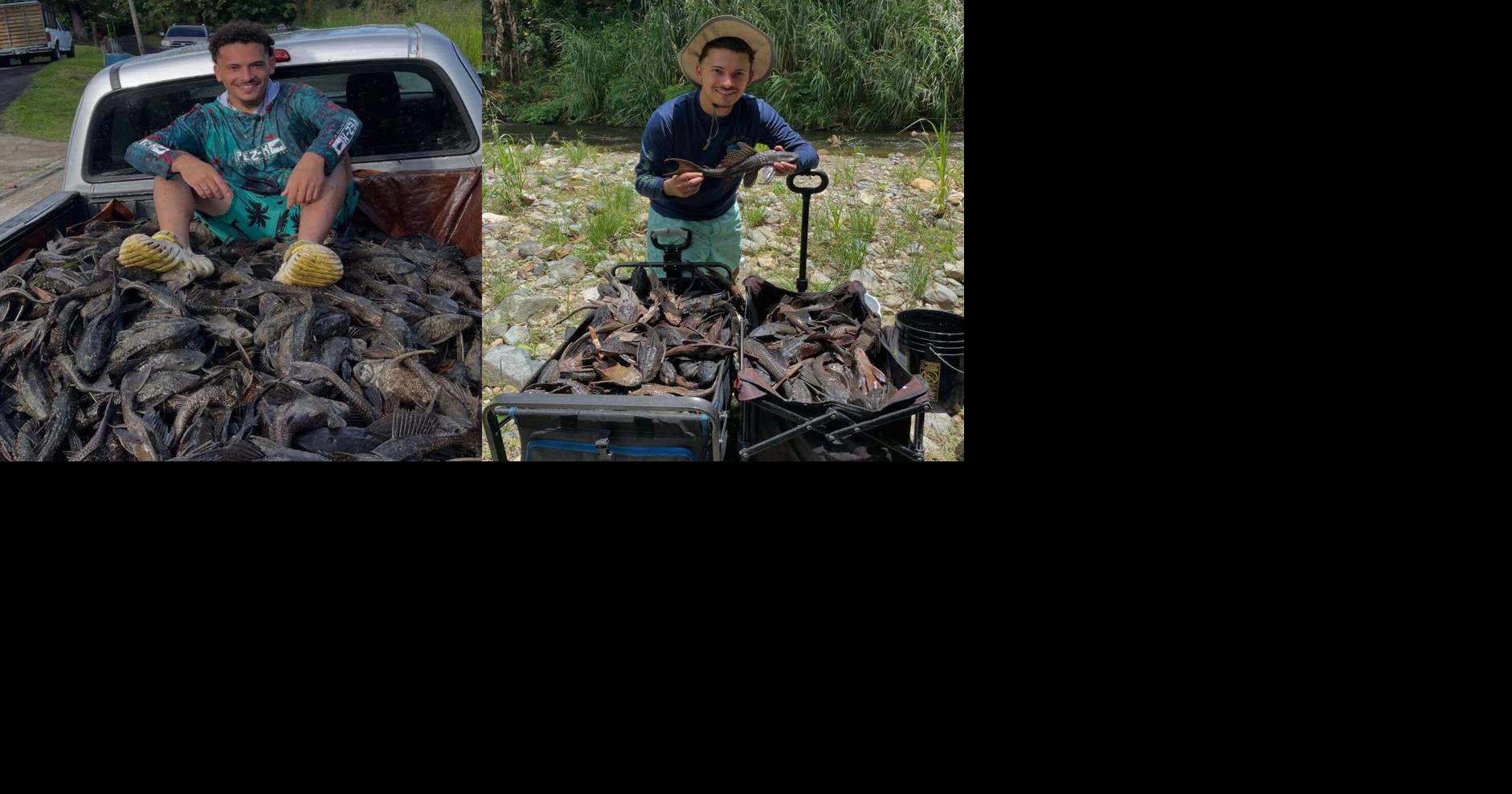 CJ Pesca responde a amenaza de demanda por captura de plecos en ríos de Puerto Rico