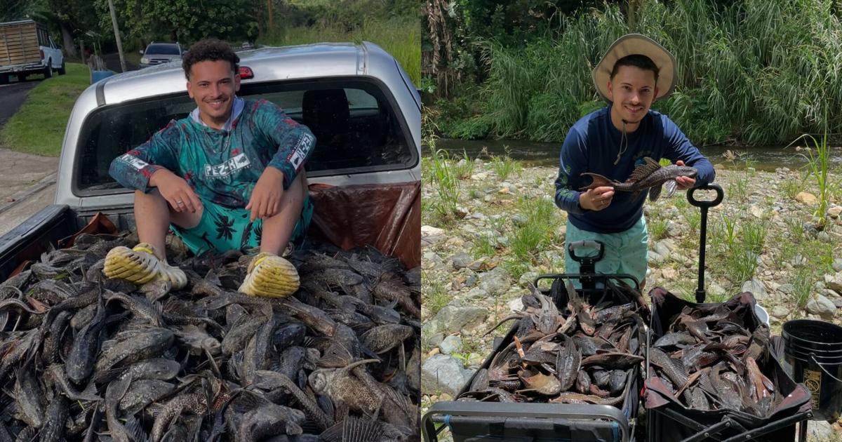CJ Pesca responde a amenaza de demanda por captura de plecos en ríos de Puerto Rico