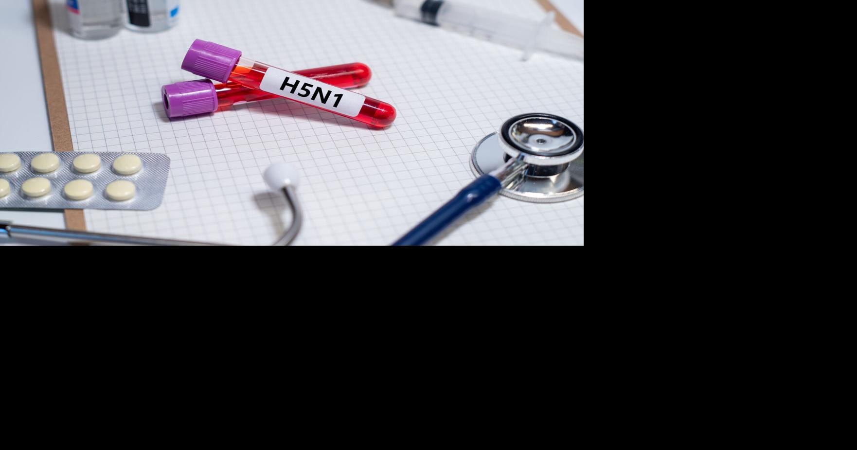 Confirman casos de gripe aviar en Cabo Rojo y Lajas