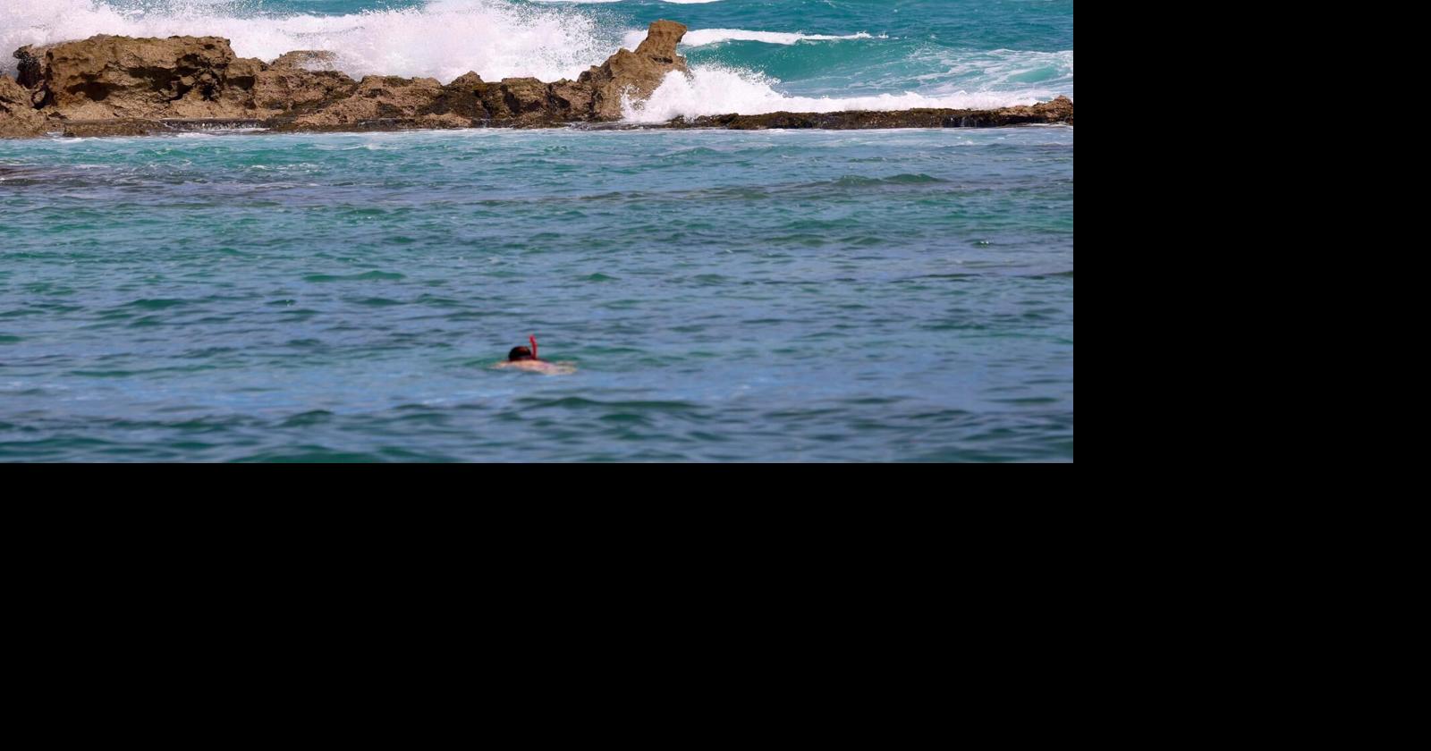 [POR SI NO LO VISTE]