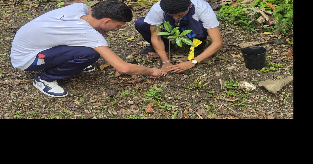 Actividades educativas en el mariposario municipal reunieron a alumnos de escuela elemental y superior