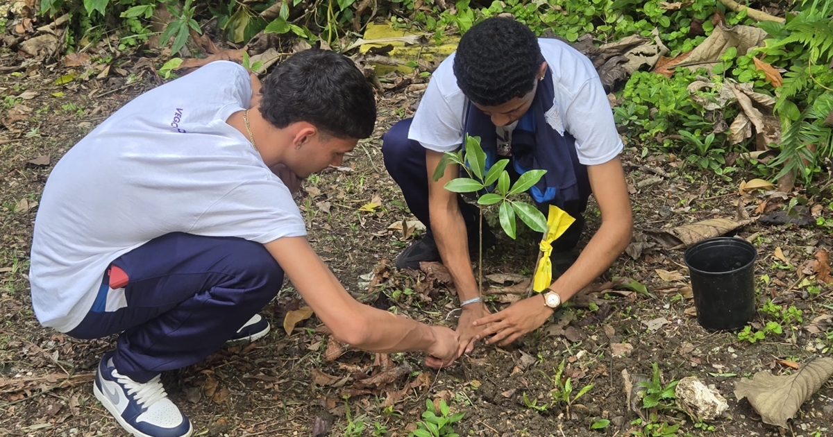 Estudiantes celebran el Día de la Tierra con siembra y reciclaje en Vega Alta