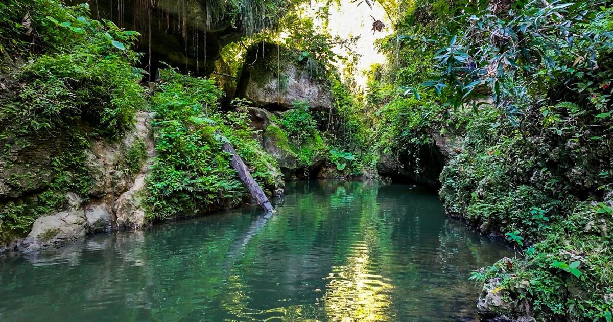 Ríos, manantiales y charcas de Puerto Rico: alternativas para escapar del calor
