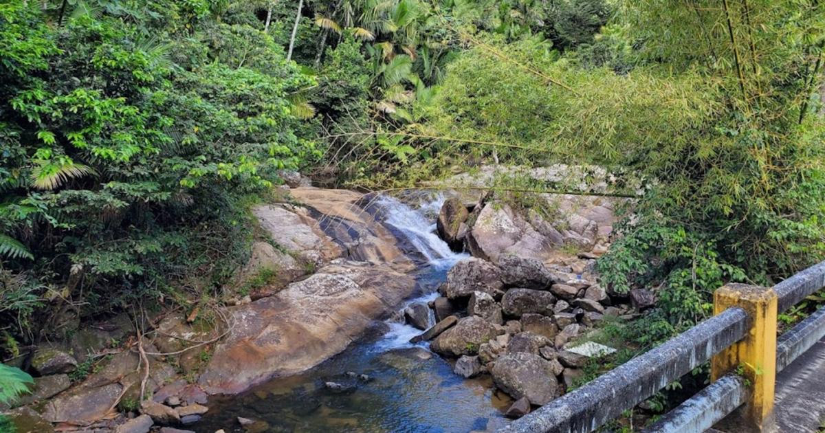 DRNA inicia limpieza del río Maunabo para reducir riesgos de inundaciones