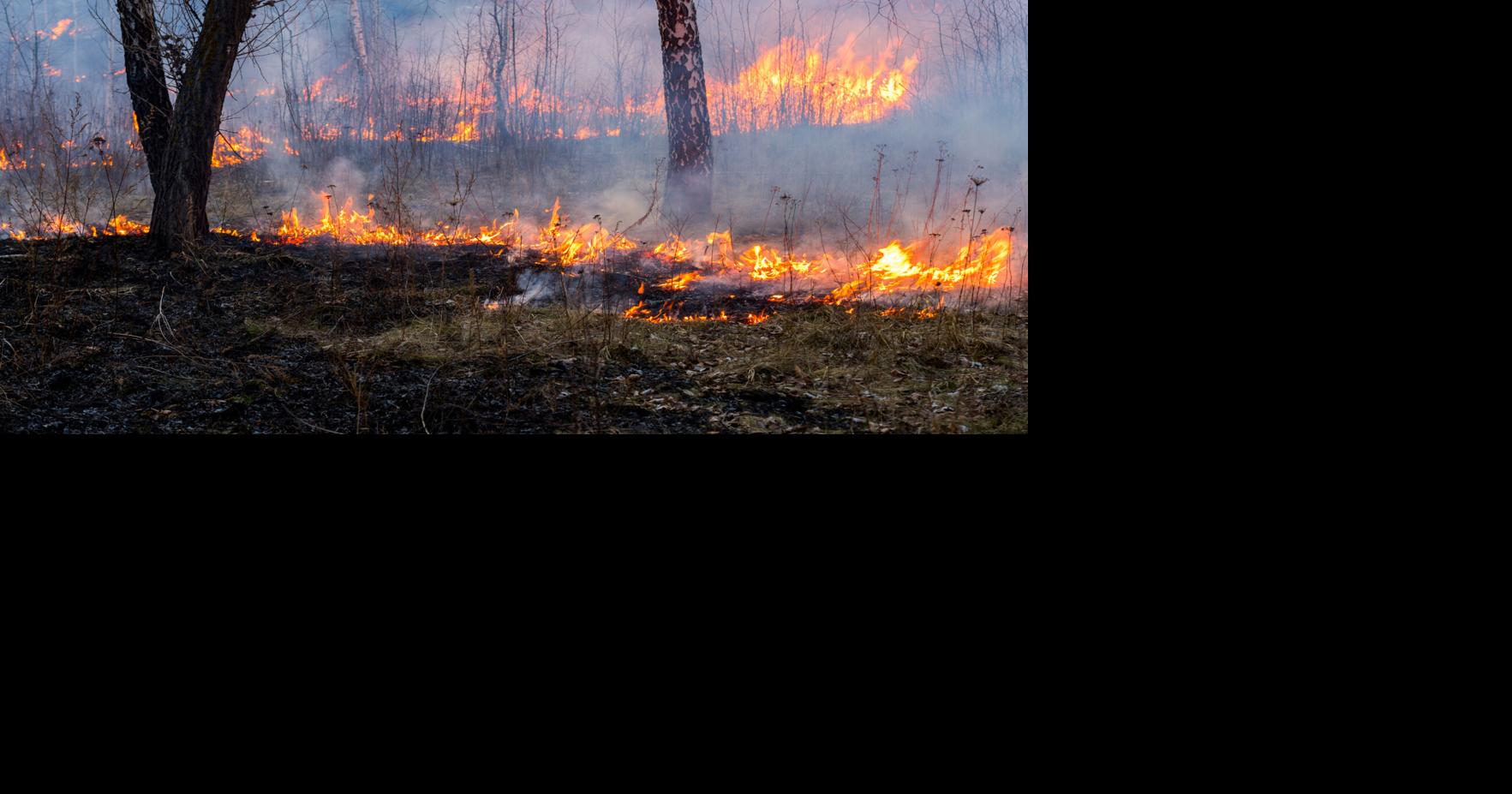 Lluvias no reducen los fuegos forestales en la Isla