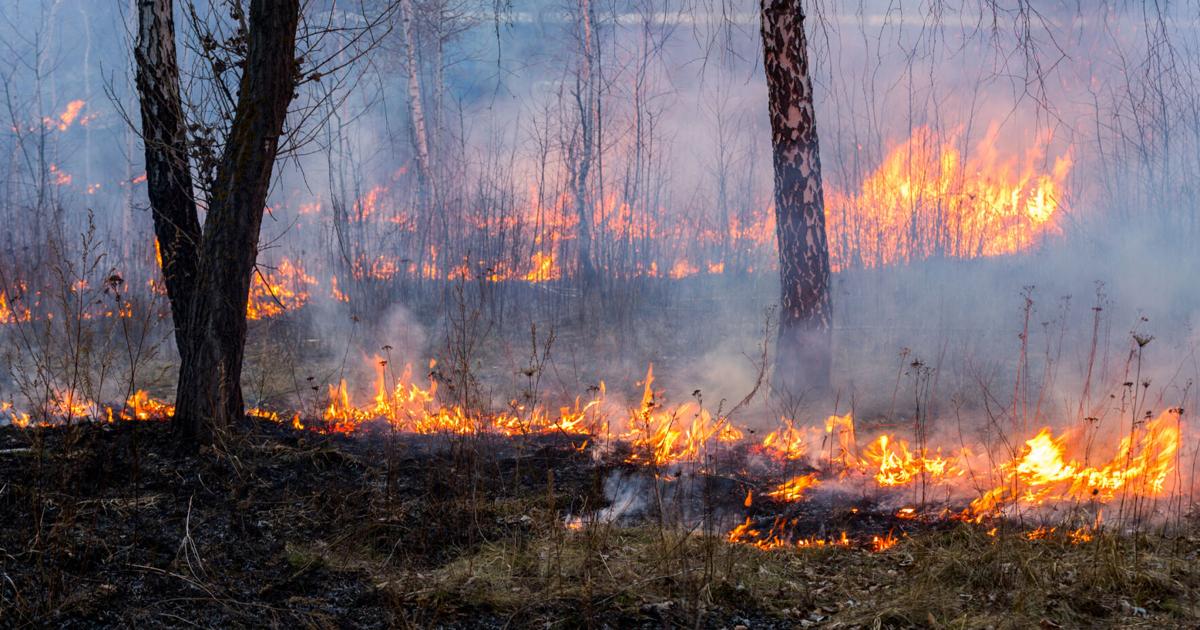 Lluvias no reducen los fuegos forestales en la Isla