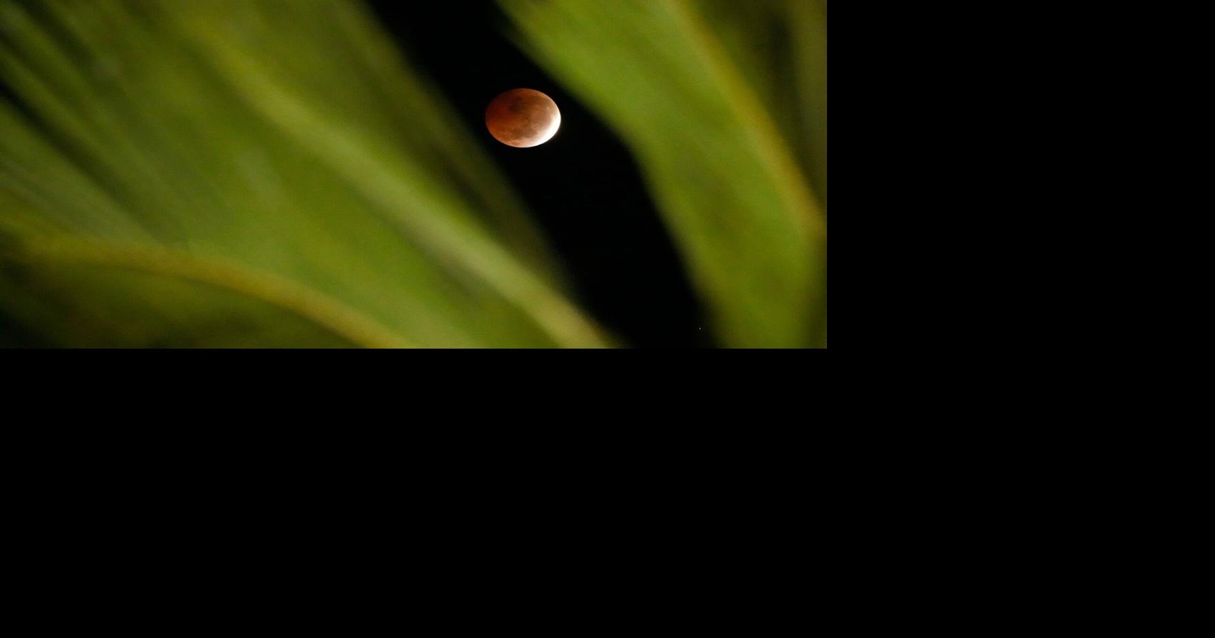 Eclipse lunar parcial tiñe la Luna de rojo y es visto por millones en América y Europa