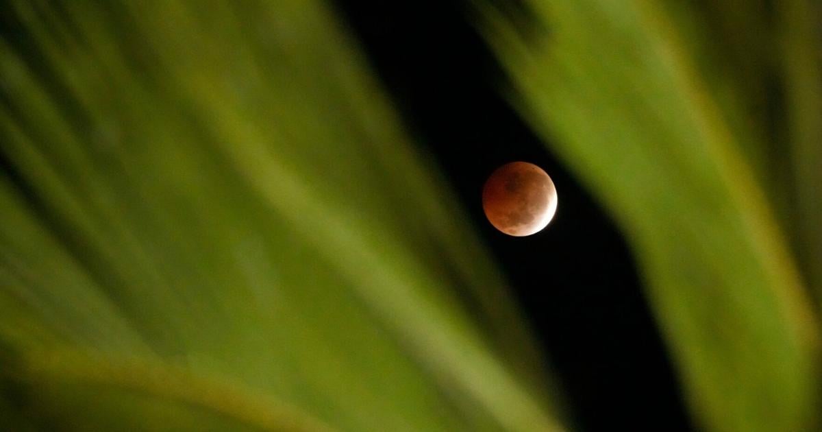 Eclipse lunar parcial tiñe la Luna de rojo y es visto por millones en América y Europa