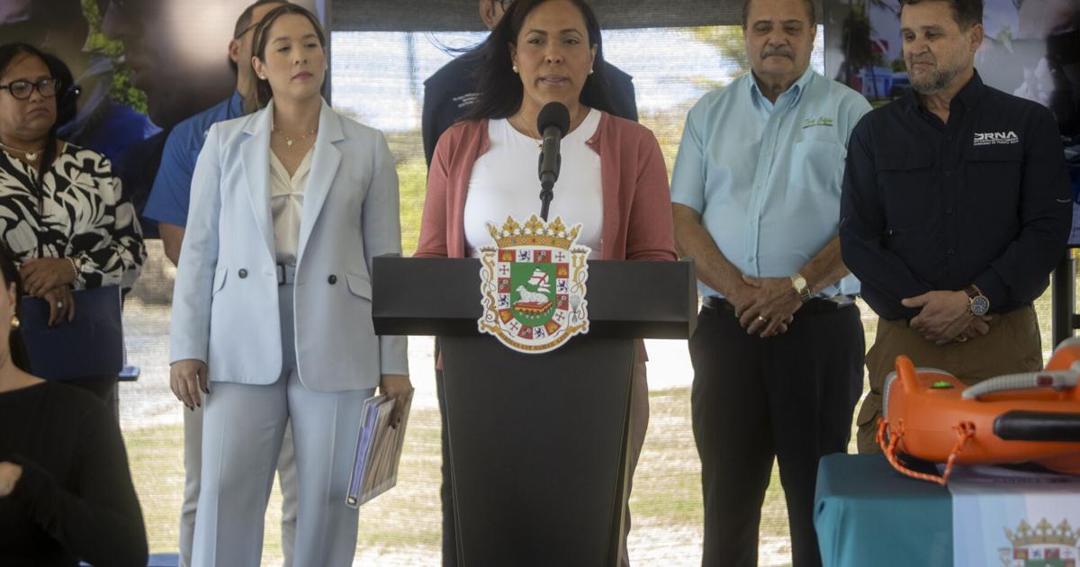 Gobierno activa esfuerzo interagencial para la seguridad en las playas