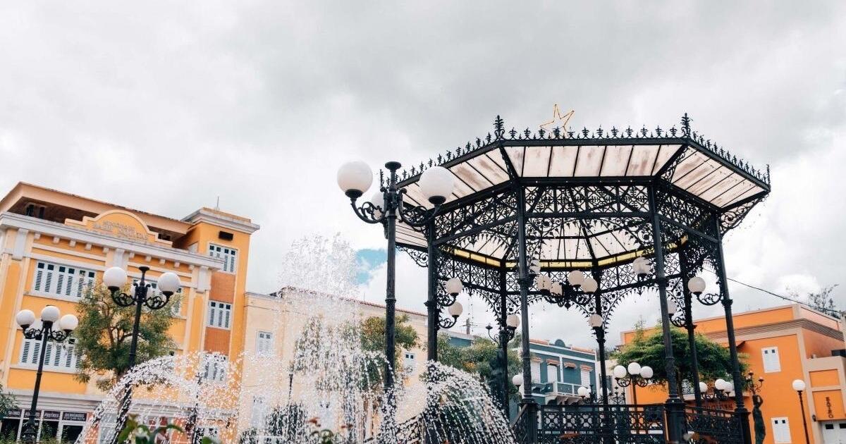 Festivales: apio en Barranquitas y chiringas en Cayey