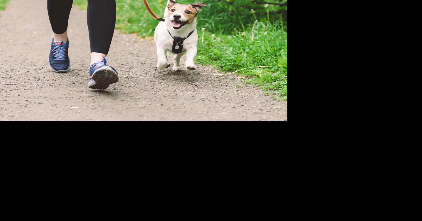 UPR Carolina celebrará primer 3K "Huellas del Jaguar" donde puedes correr con tu mascota