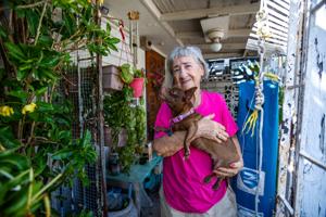 Imagen del artículo de El Vocero: Tras orden de desahucio: Doña María acepta unidad de vivienda en San Juan